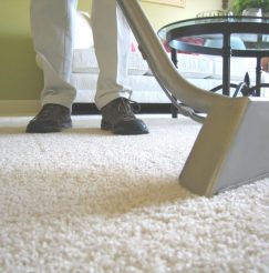 cleaners-carpet